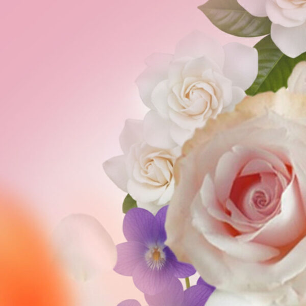 Elegant Parisienne Lampe Berger Fragrance 500ml