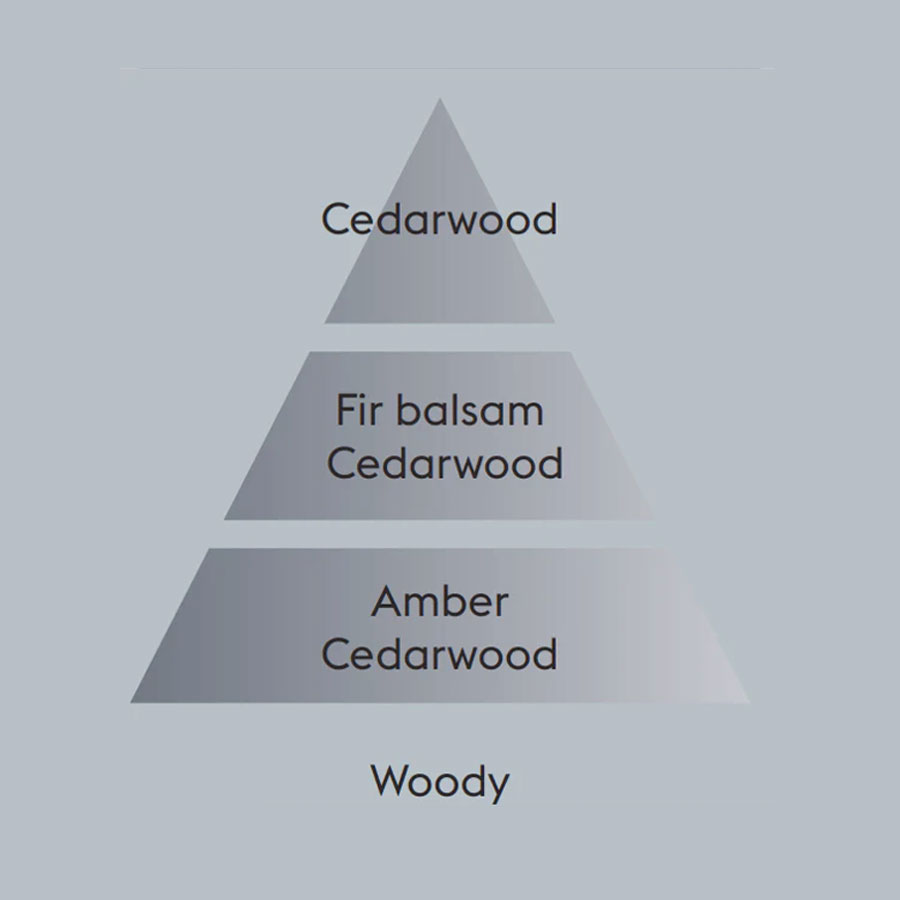 Lampe Berger Anti Tobacco Odor Car Diffuser Refill Woody