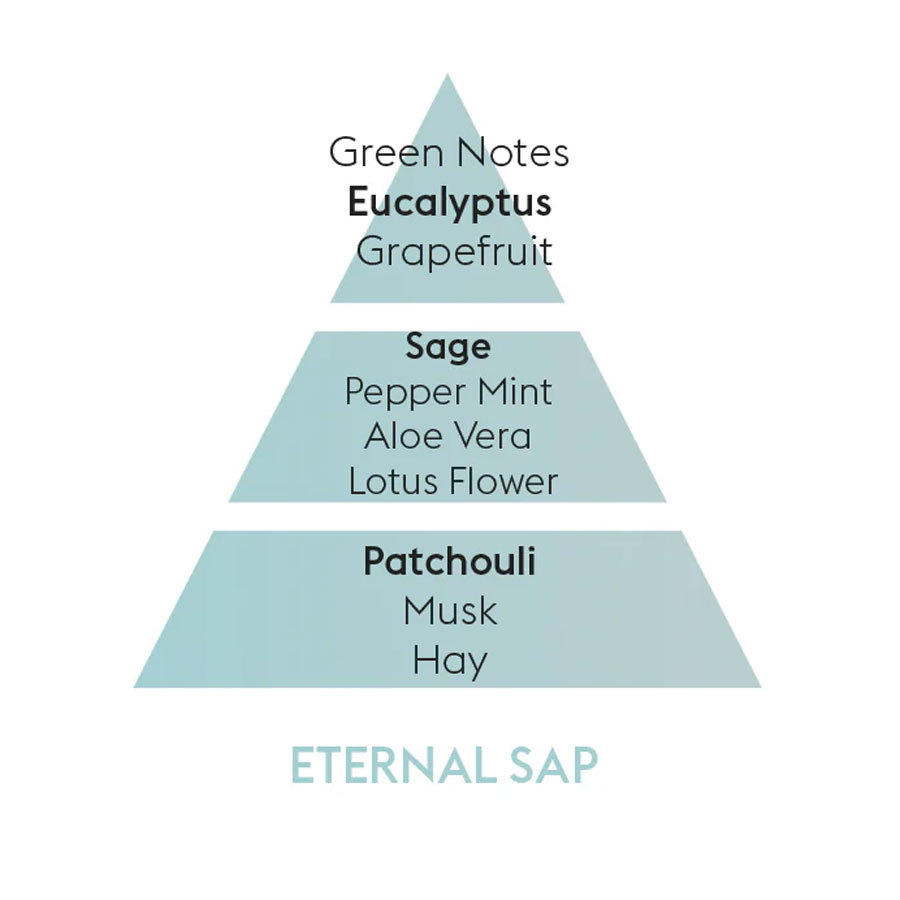 Lampe-Berger-Eternal-Sap-Car-Diffuser-Refill-2 Lampe Berger Eternal Sap Car Diffuser Refill