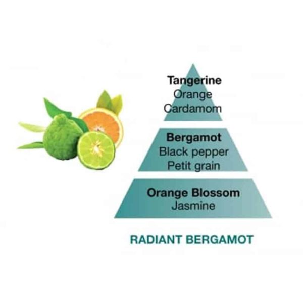 Zest Of Verbena Zeste De Verveine Lampe Berger Fragrance Lamp Refill