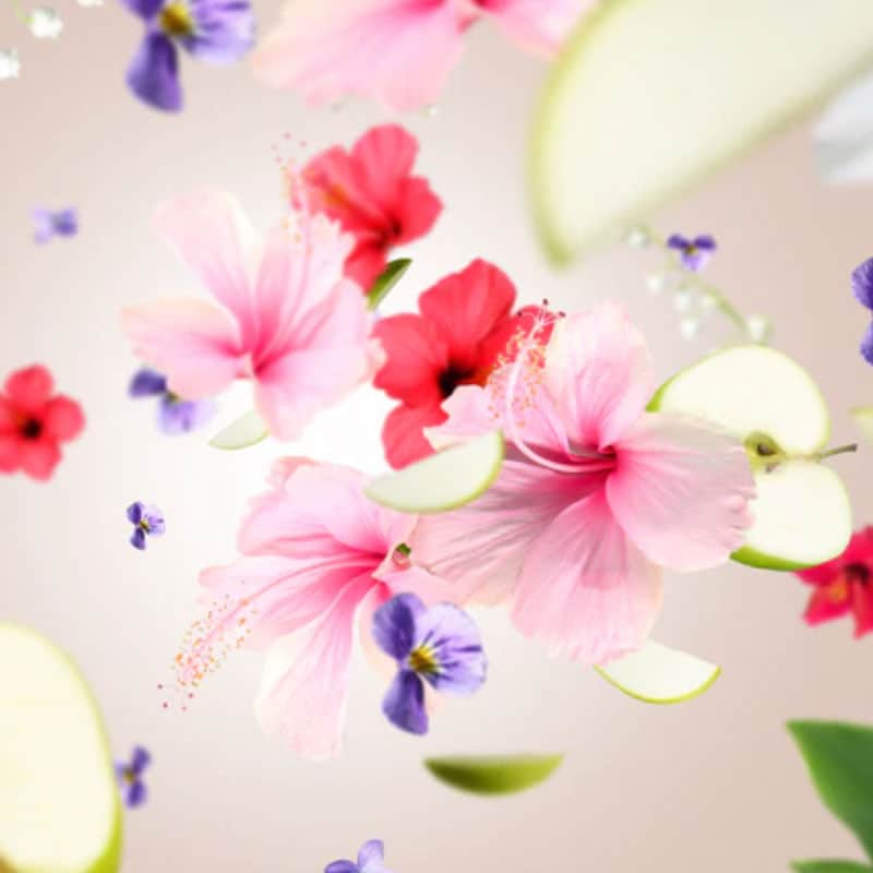 Hibiscus Love Lampe Berger Fragrance Lamp Refill 500ml